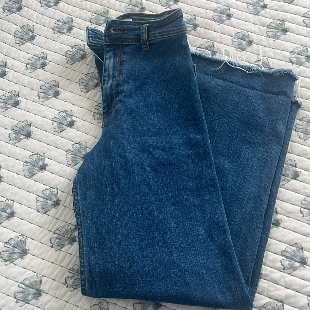 Zara Marine Jean